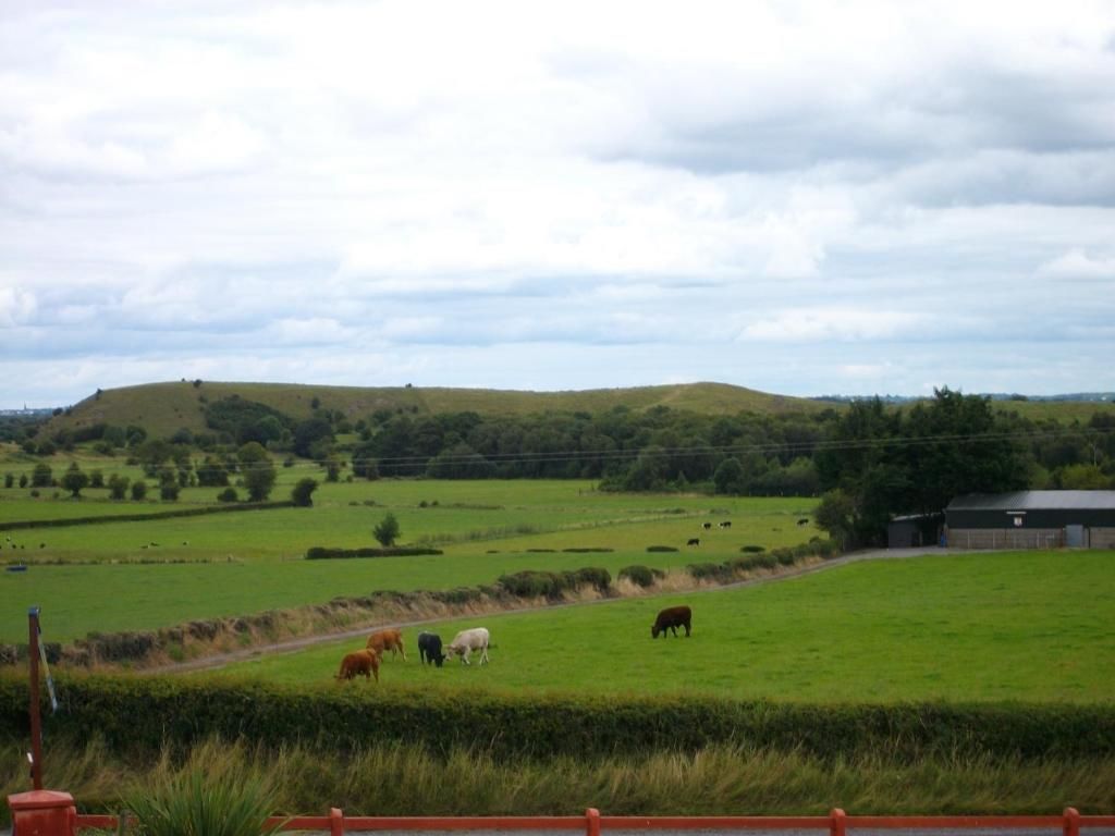 Отели типа «постель и завтрак» Clonmacnoise B&B Clonmacnoise-44