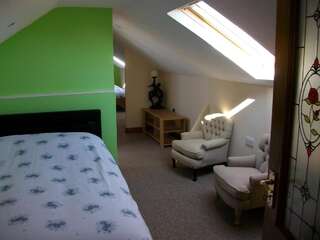 Отели типа «постель и завтрак» Clonmacnoise B&B Clonmacnoise Двухместный номер с 2 отдельными кроватями-3